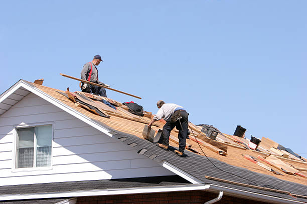 Best Roofing for New Construction  in Lavallette, NJ